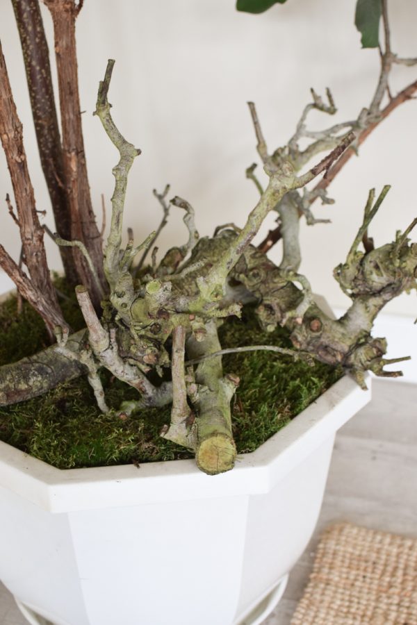 Birnenäste Ast Geäst Dekoholz Holz Obstbaum Obstgehölz DIY Naturdeko im Mrs Greenery Shop bestellen