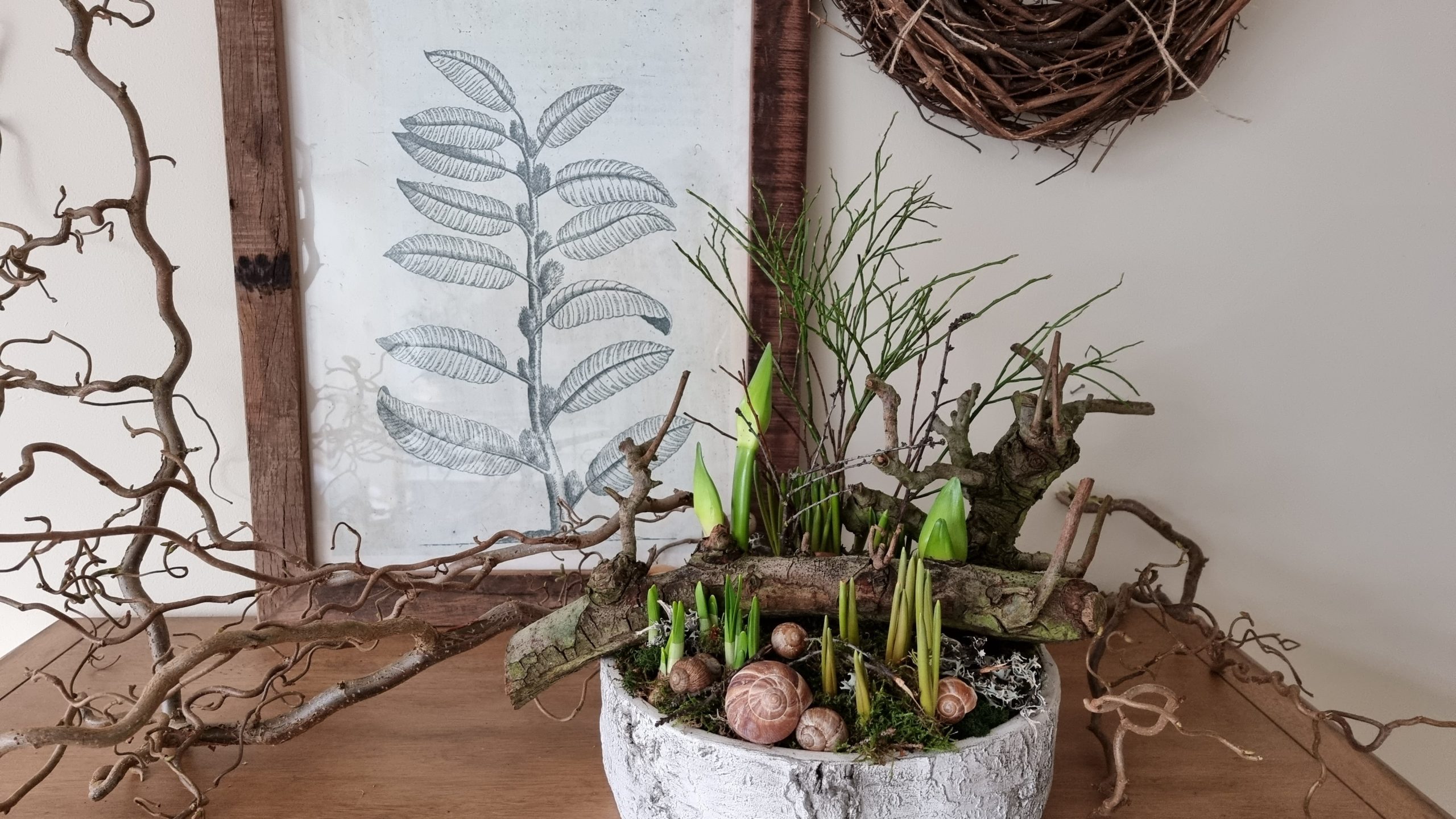 DIY Video schritt für Schritt Anleitung: Naturdeko mit Amaryllis und Frühlingsblühern. Dekoschale einfach selbermachen mit Mrs Greenery