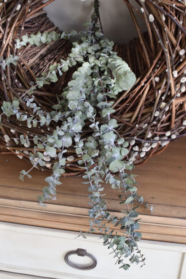 Eukalyptus Baby Blue getrocknet Trockenblumen Naturdeko im Mrs Greenery Shop bestellen