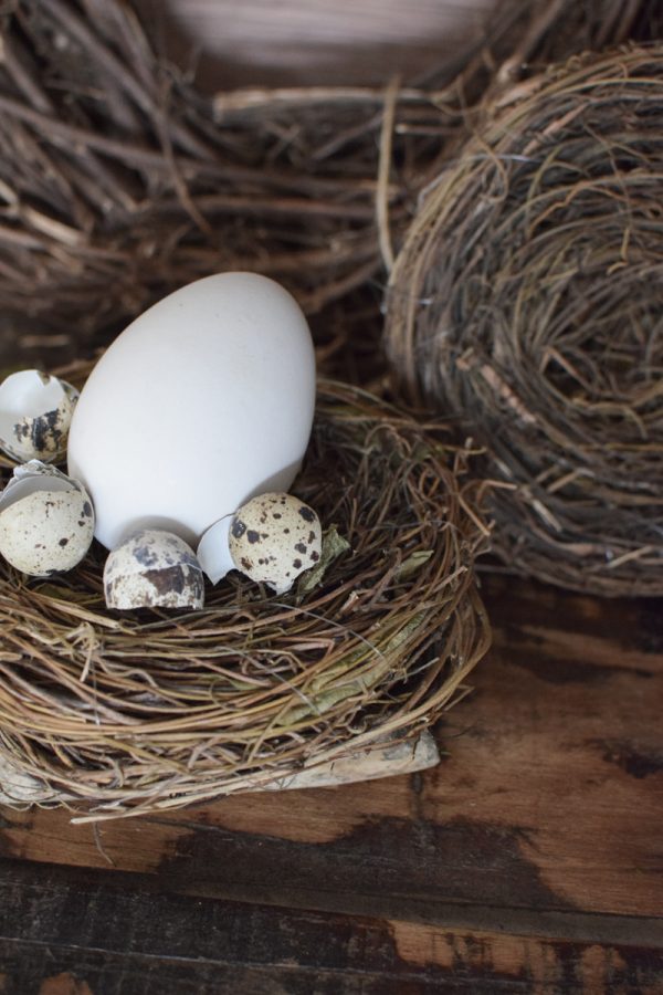Osternest Dekonest Osterdeko Osteridee Nest Frühlingsdeko im Mrs Greenery Shop bestellen