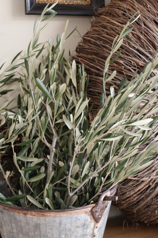 Ein Bund Olive Olivenzweige Naturdeko Naturmaterial 1 Bund im Mrs Greenery Shop bestellen