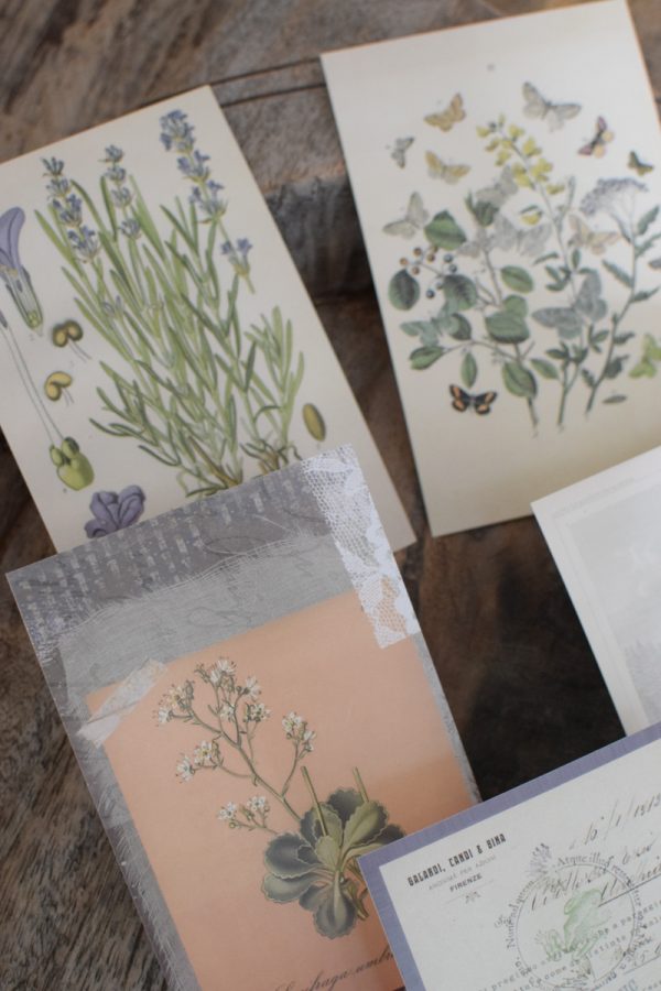 Postkarten Set 5 Stück mit Umschlag. Papeterie Flora Fauna Natur Noten Nostalgie Pilze Motive natürlich Naturdeko im Mrs Greenery Shop bestellen