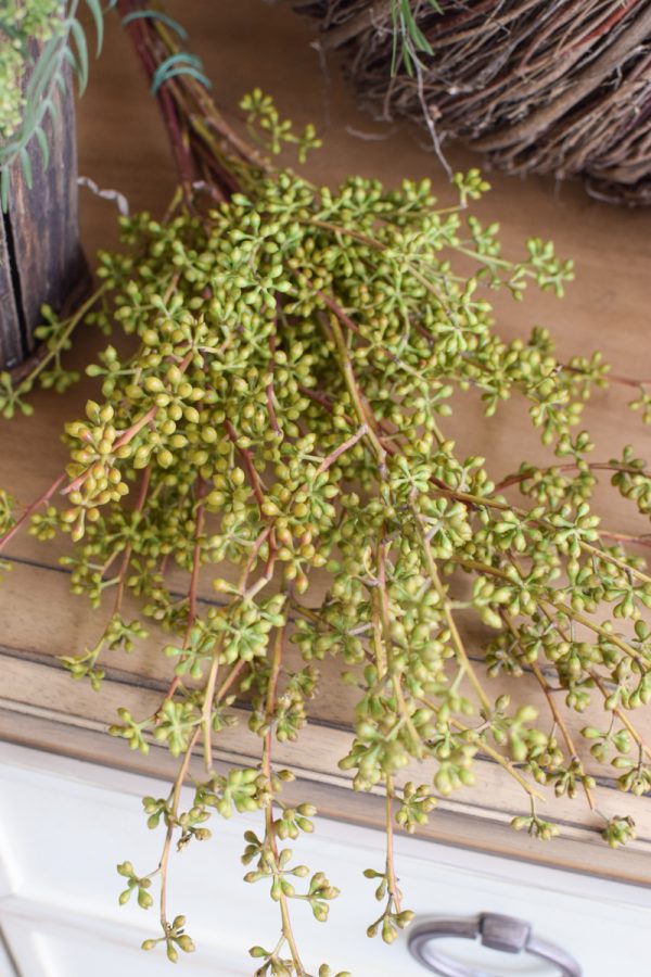 Eukalyptus Früchte midi Bund Zweige im Mrs Greenery Shop bestellen kaufen