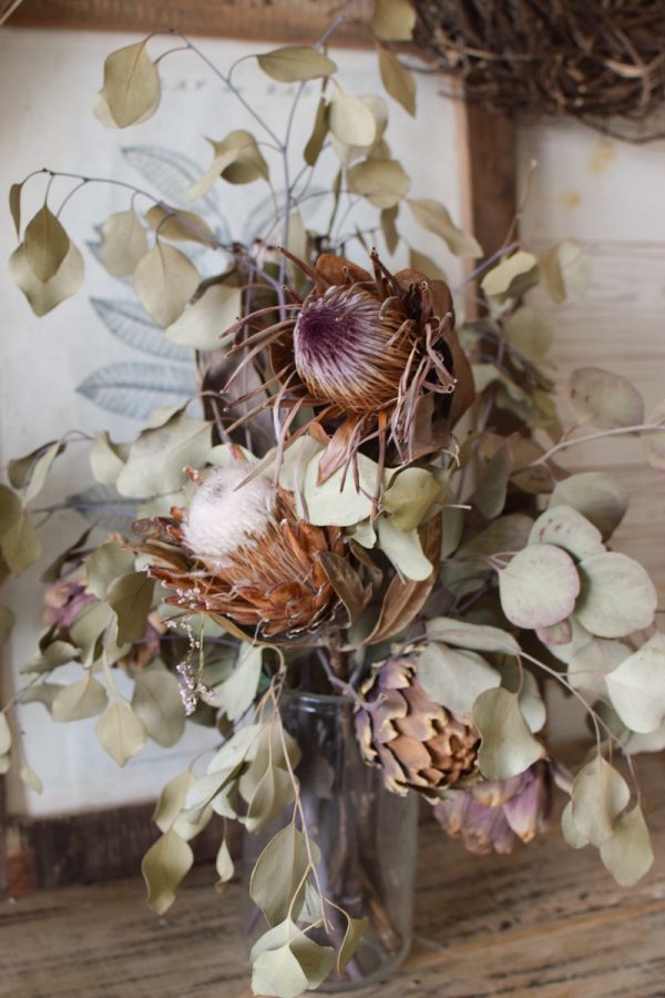 Trockenblumen Strauß getrocknete Protea Eukalyptus Bouquet Dried Flowers im Mrs Greenery Shop bestellen kaufen