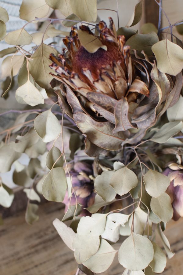 Trockenblumen Strauß getrocknete Protea Eukalyptus Bouquet Dried Flowers im Mrs Greenery Shop bestellen kaufen
