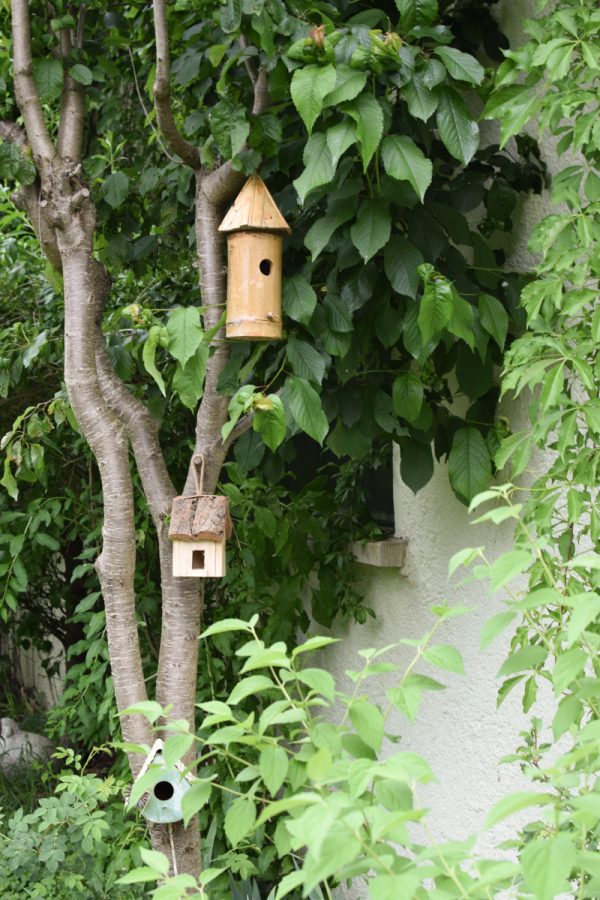 Vogelhaus Dekohaus Holz Naturdeko im Mrs Greenery Shop bestellen kaufen