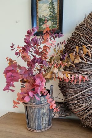 Eukalyptus gefärbt Farbe eingefärbt Bund Zweige im Mrs Greenery Shop bestellen kaufen