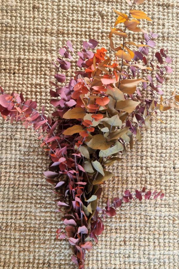 Eukalyptus gefärbt Farbe eingefärbt Bund Zweige im Mrs Greenery Shop bestellen kaufen