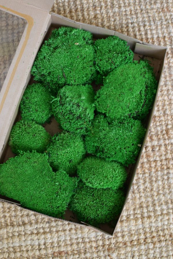 Bollenmoos Moos grün konserviert zum Basteln im Mrs Greenery Shop bestellen