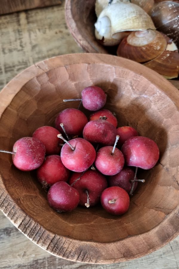 Zieräpfel Herbstdeko Dekoidee Herbst mit Äpfeln Dekoschale im Mrs Greenery Shop bestellen kaufen