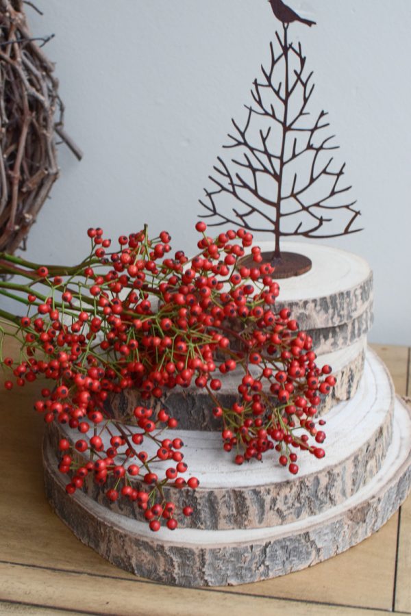 Mini Hagebutten frisch rot für deine Herbstdeko Winterdeko Weihnachtsdeko im Mrs Greenery Shop bestellen kaufen