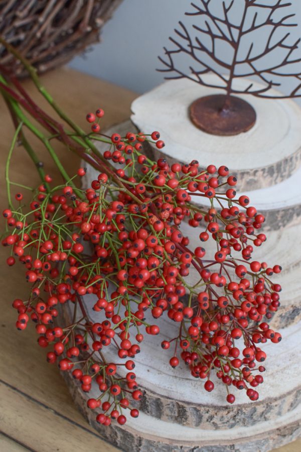 Mini Hagebutten frisch rot für deine Herbstdeko Winterdeko Weihnachtsdeko im Mrs Greenery Shop bestellen kaufen