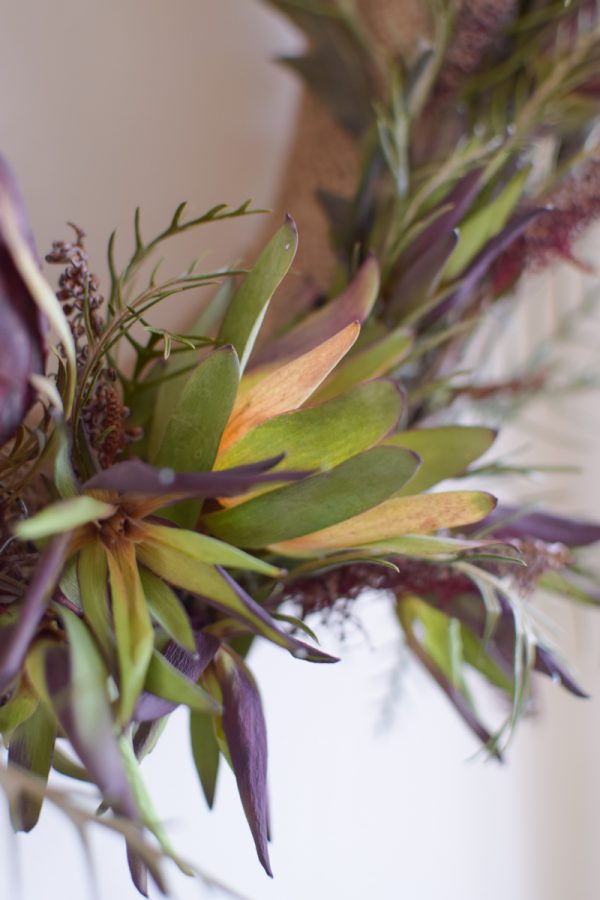 Leucadendron gruen wuesteblume bluete greenery frisch trocken naturdeko mrs greenery Shop bestellen kaufen