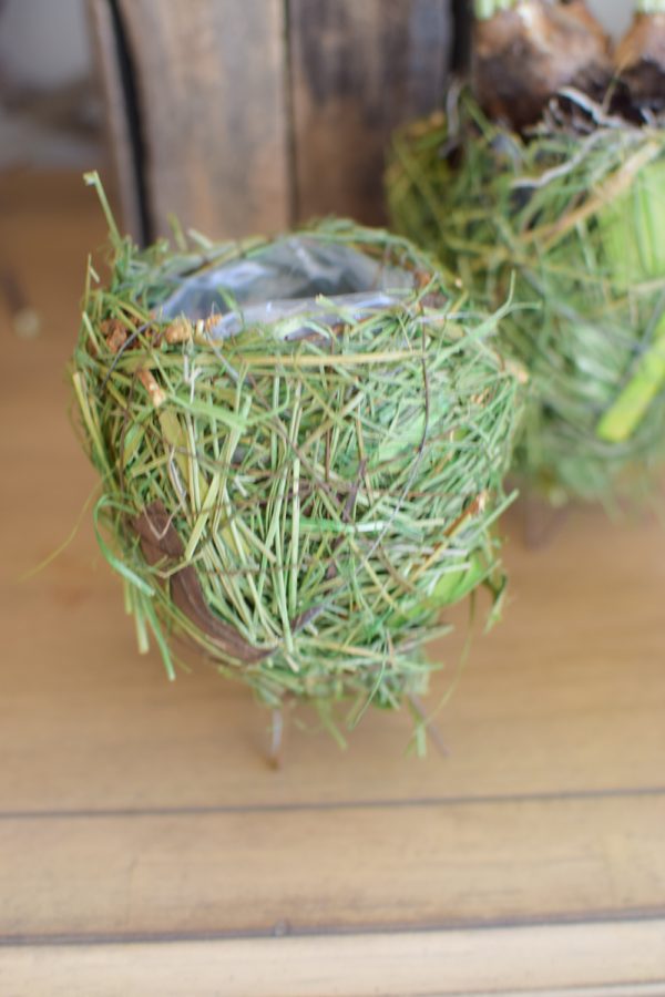 Übertopf Greenery Ei. Eier Topf Natur grün Naturdeko Deko Dekoidee mit Naturmaterialien im Mrs Greenery Shop bestellen kaufen