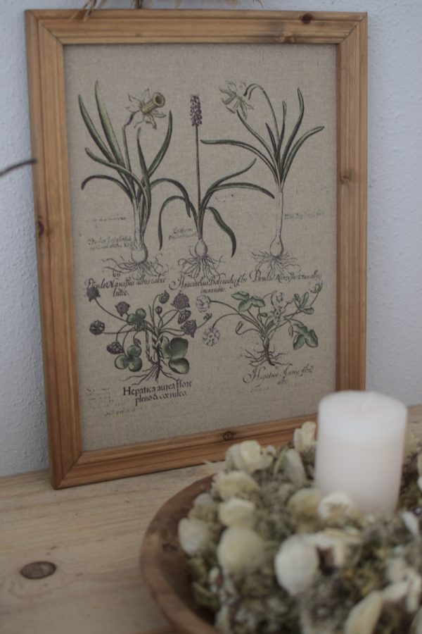 Botanische Drucke Blumenbild Holz Jute Bild Motiv Blumen im Mrs Greenery Shop kaufen bestellen Naturdeko Deko natürlich dekorieren