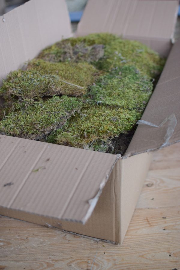 Moos zweite Wahl getrocknet im Mrs Greenery Shop bestellen Naturdeko Deko mit Naturmaterialien