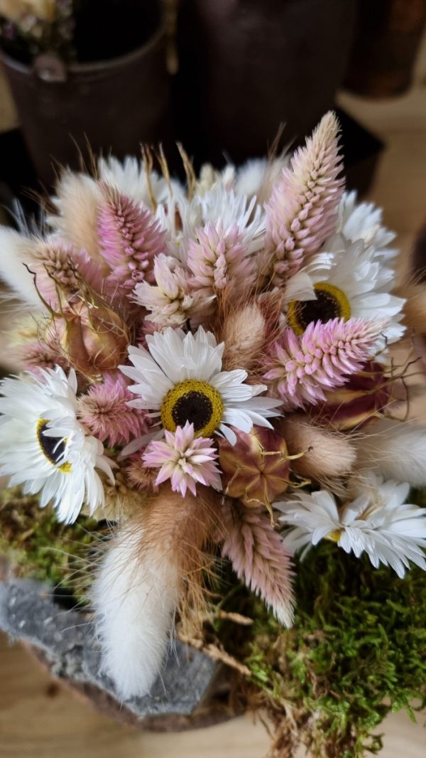 Federbusch Celosia getrocknet pink rosa Trockenblumen im Mrs Greenery Shop bestellen Arrangement Blumendeko Blumenstrauss