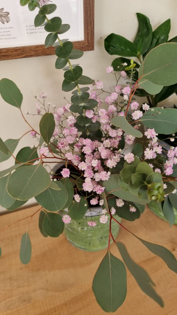 strauss Sträusschen mini bouqet frische Blumen Blüten Eukalyptus Schleierkraut baby blue populus im Mrs Greenery Shop bestellen kaufen