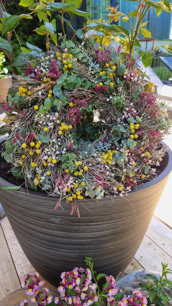 Kreativ-set Sommerkranz Kranzbinden Kränze Kranz Anleitung mit Mrs Greenery Shop bestellen kaufen Trockenblumen Eukalyptus