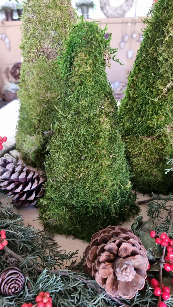 Tanne Baum Moosbaum Moosdeko Tannenbaum Winterdeko Weihnachtsdeko Weihnachten Mrs Greenery Shop bestellen kaufen Naturdeko