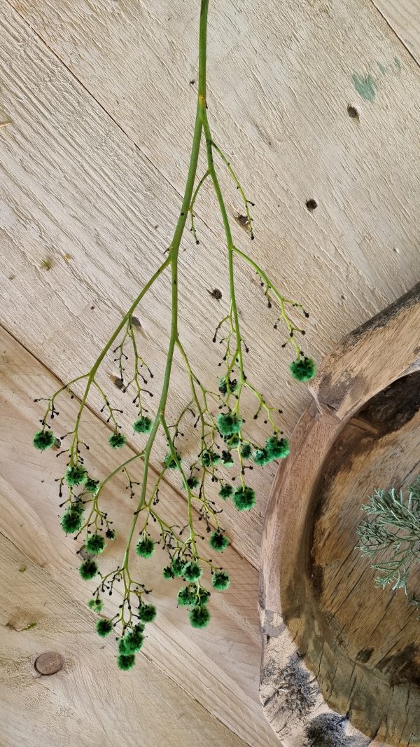 Stilingia Euphorbia trockenblume Naturdeko im Mrs Greenery Shop bestellen kaufen