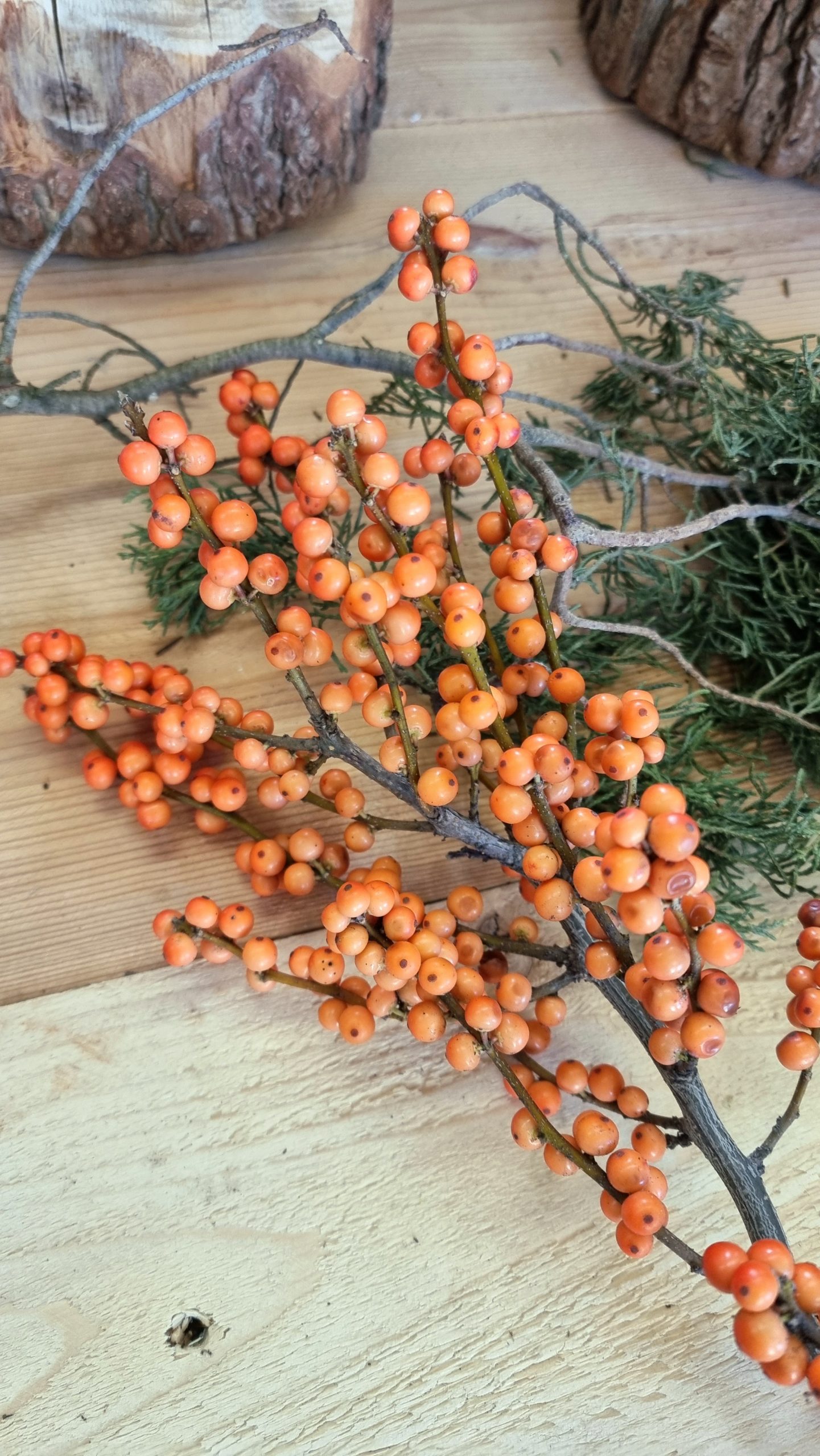 Ilex Beeren orange: 1 Zweig