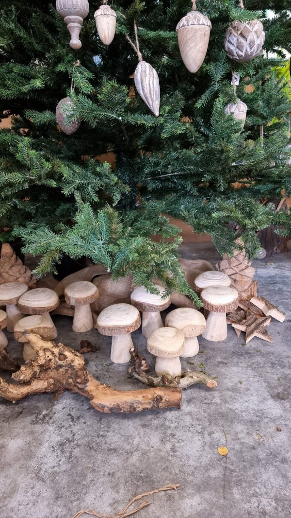 Holzpilz Pilz aus Holz Dekopilz Holzdeko im Mrs Greenery Shop bestellen kaufen
