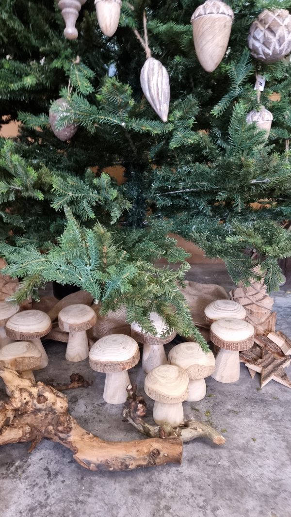 Holzpilz Pilz aus Holz Dekopilz Holzdeko im Mrs Greenery Shop bestellen kaufen