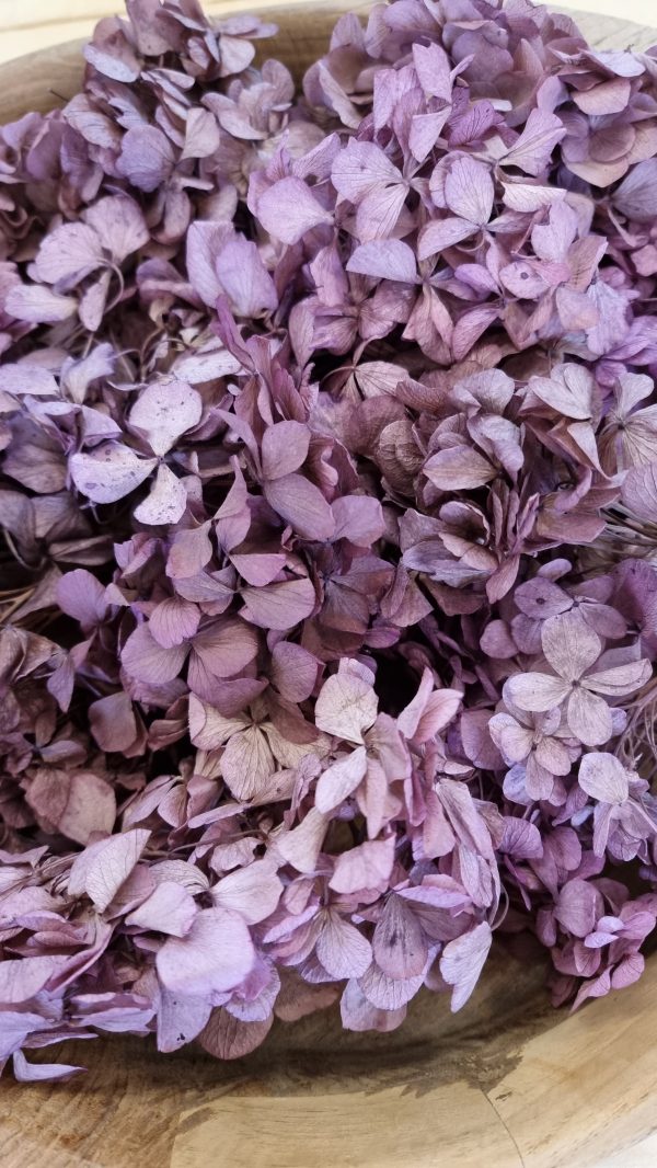 Hortensienblüten getrocknet Trockenblumen Hortensie violett rosa kreativsein im Mrs Greenery Shop bestellen kaufen