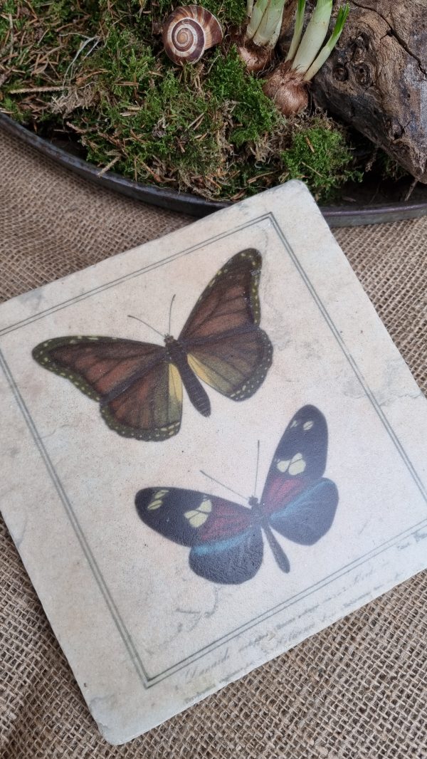 Bild Wandbild Schmetterlinge Platte zum Aufhängen natüröich dekorieren Mrs Greenery Shop bestellen kaufen