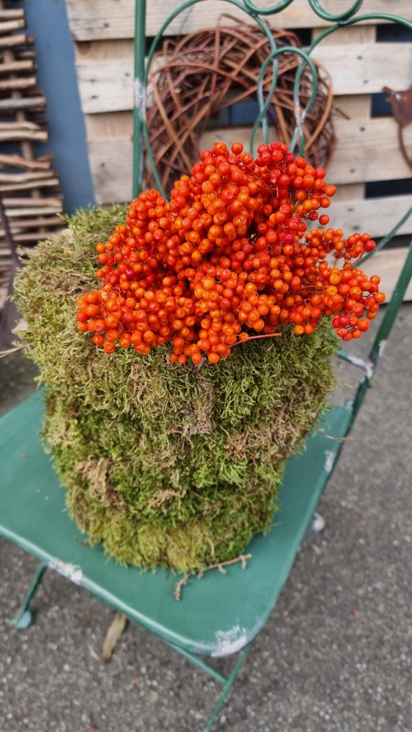 Pfefferbeeren orange pepper berries trockenblumen naturdeko getrocknet im Mrs Greenery Shop bestellen kaufen