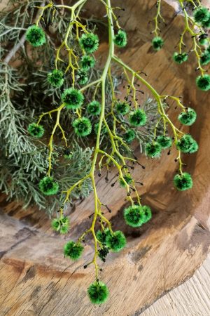 Stilingia Euphorbia trockenblume Naturdeko im Mrs Greenery Shop bestellen kaufen