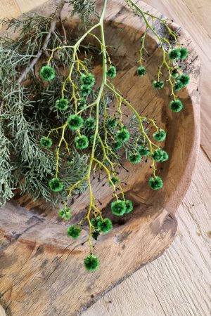 Stilingia Euphorbia trockenblume Naturdeko im Mrs Greenery Shop bestellen kaufen