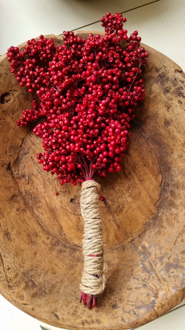 Pfefferbeeren getrocknet rot Weihnachtsdeko Winterdeko Dekoidee im Mrs Greenery Shop bestellen kaufen