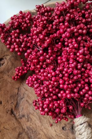 Pfefferbeeren getrocknet rot Weihnachtsdeko Winterdeko Dekoidee im Mrs Greenery Shop bestellen kaufen