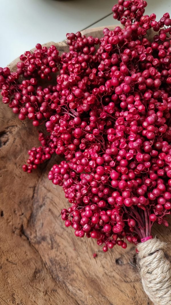 Pfefferbeeren getrocknet rot Weihnachtsdeko Winterdeko Dekoidee im Mrs Greenery Shop bestellen kaufen