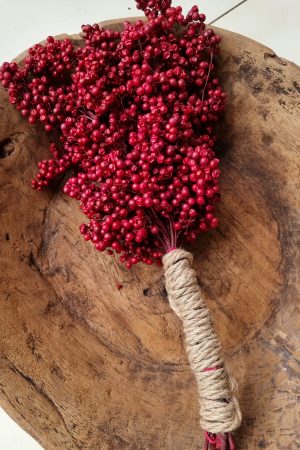 Pfefferbeeren getrocknet rot Weihnachtsdeko Winterdeko Dekoidee im Mrs Greenery Shop bestellen kaufen