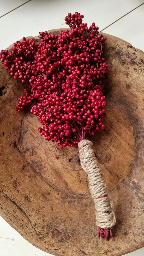 Pfefferbeeren getrocknet rot Weihnachtsdeko Winterdeko Dekoidee im Mrs Greenery Shop bestellen kaufen