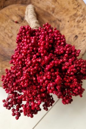 Pfefferbeeren getrocknet rot Weihnachtsdeko Winterdeko Dekoidee im Mrs Greenery Shop bestellen kaufen