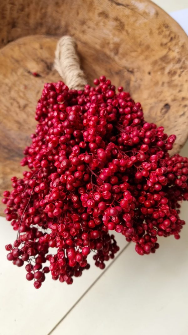 Pfefferbeeren getrocknet rot Weihnachtsdeko Winterdeko Dekoidee im Mrs Greenery Shop bestellen kaufen