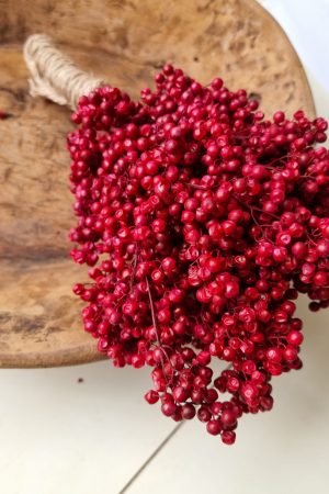 Pfefferbeeren getrocknet rot Weihnachtsdeko Winterdeko Dekoidee im Mrs Greenery Shop bestellen kaufen