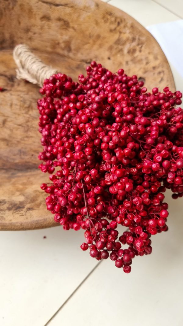 Pfefferbeeren getrocknet rot Weihnachtsdeko Winterdeko Dekoidee im Mrs Greenery Shop bestellen kaufen