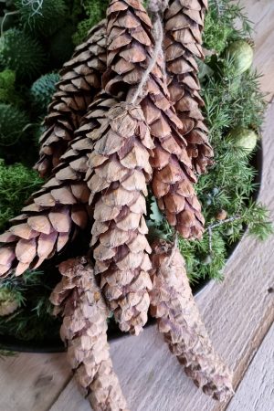Zapfen haenger dekozapfen naturzapfen weihnachtsdeko weihnachten winterdeko zapfendeko mrs greenery shop bestellen kaufen