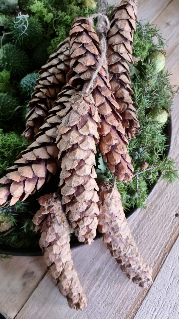 Zapfen haenger dekozapfen naturzapfen weihnachtsdeko weihnachten winterdeko zapfendeko mrs greenery shop bestellen kaufen