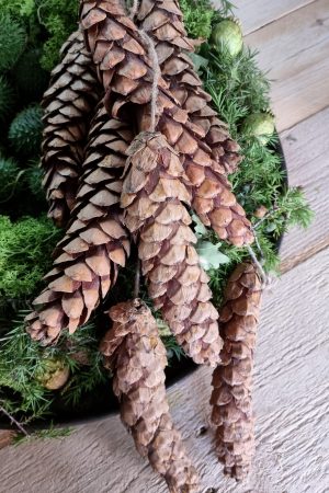 Zapfen haenger dekozapfen naturzapfen weihnachtsdeko weihnachten winterdeko zapfendeko mrs greenery shop bestellen kaufen