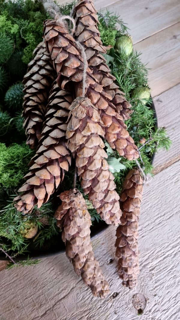 Zapfen haenger dekozapfen naturzapfen weihnachtsdeko weihnachten winterdeko zapfendeko mrs greenery shop bestellen kaufen