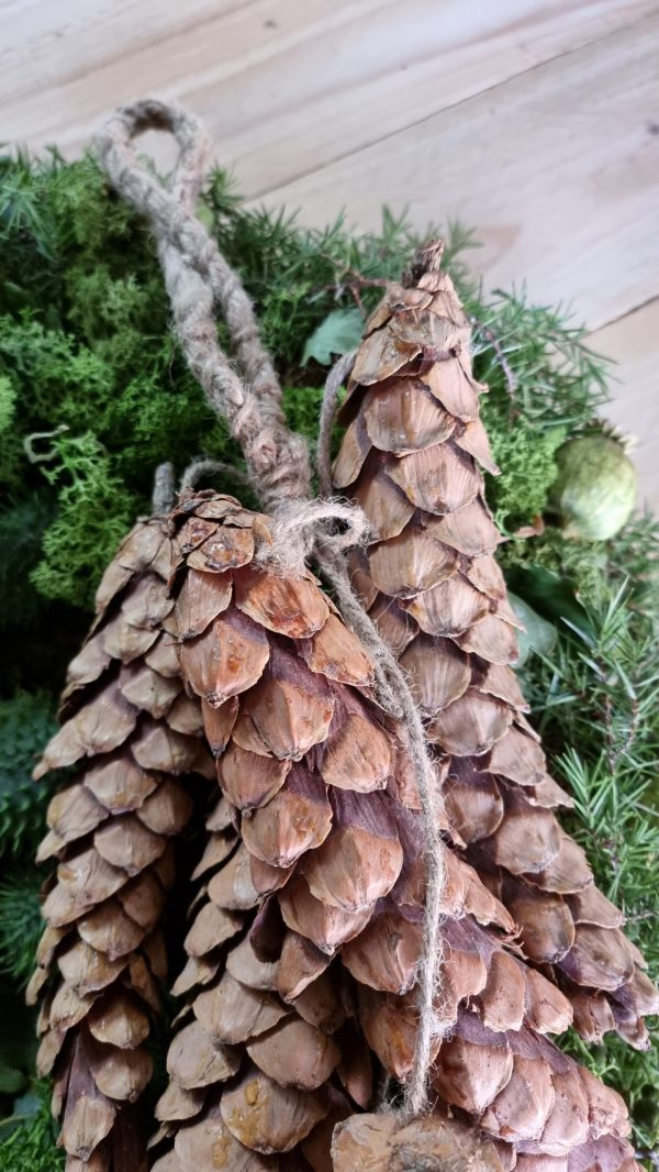 Zapfen haenger dekozapfen naturzapfen weihnachtsdeko weihnachten winterdeko zapfendeko mrs greenery shop bestellen kaufen