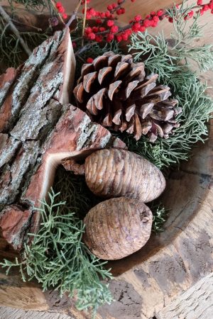 Kieferzapfen frisch Zapfen weymouth kiefer weihnachtsdeko deko Naturdeko Naturzapen im Mrs Greeenry shop bestellen kaufen