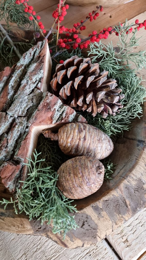 Kieferzapfen frisch Zapfen weymouth kiefer weihnachtsdeko deko Naturdeko Naturzapen im Mrs Greeenry shop bestellen kaufen