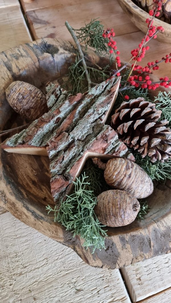 Kieferzapfen frisch Zapfen weymouth kiefer weihnachtsdeko deko Naturdeko Naturzapen im Mrs Greeenry shop bestellen kaufen